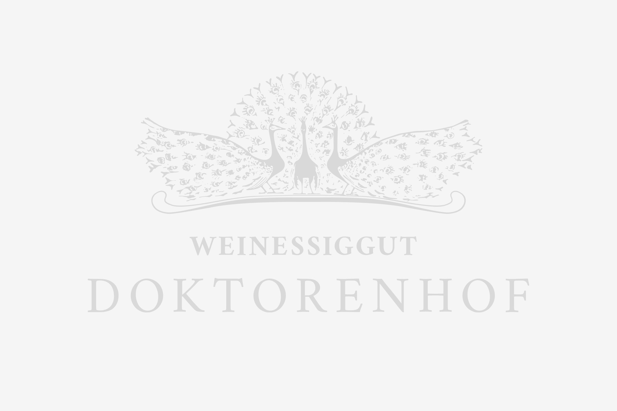 Rehkeule in Spätburgunder Wein und Vierräuber Balsam Essig