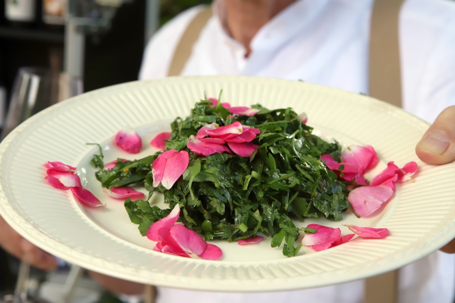 Petersliensalat mit Purple Elephant