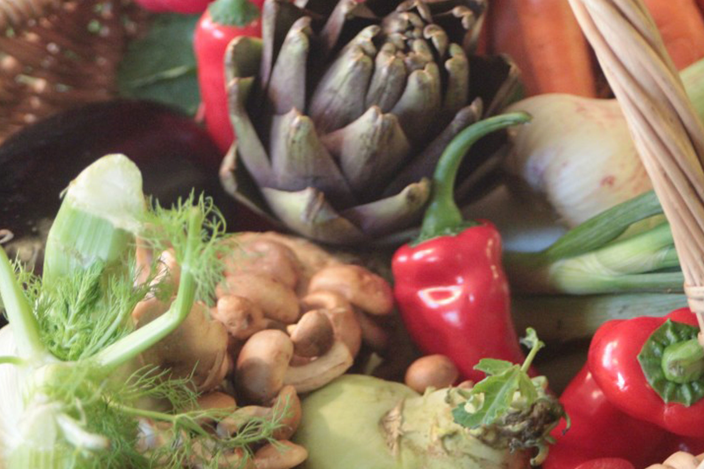 Gemüsecarpaccio mit Samurai Essigtonikum - Doktorenhof
