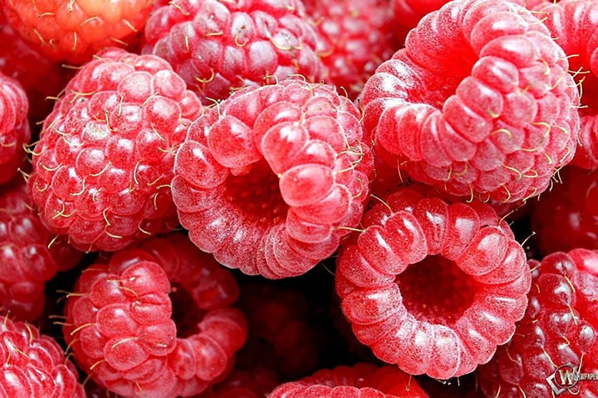 Rezept Raspberry cake with frambuesa - the raspberry