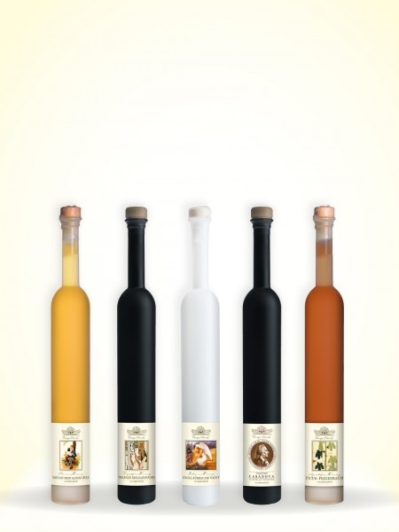 Probierset mit 5 verschiedenen Trinkessigen 5 Pavo Flaschen à 125 ml
