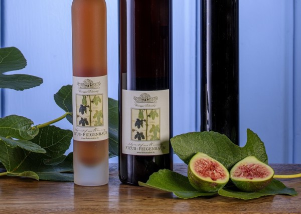 Ficus - fig vinegar