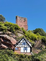 Voucher for vinegar tasting tour Voucher for vinegar tasting tour