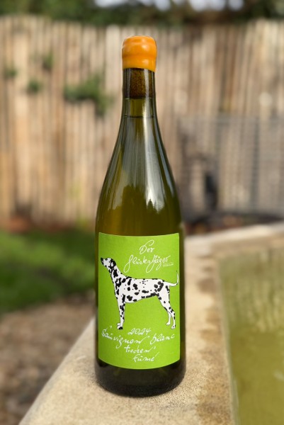 Sauvignon blanc fumé trocken 2024