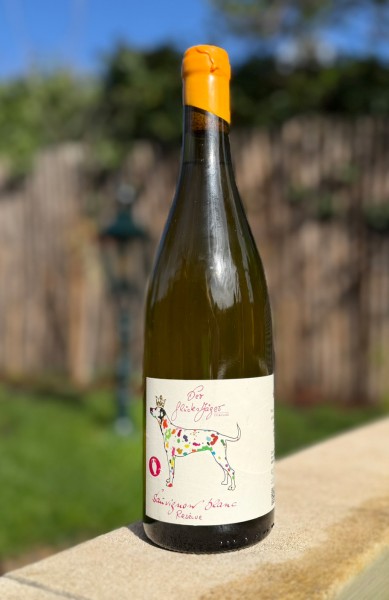 Sauvignon blanc Reserve trocken Amphore 2024