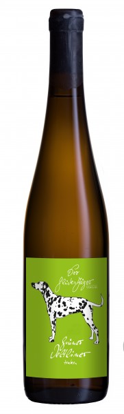 Grüner Veltliner trocken 2019
